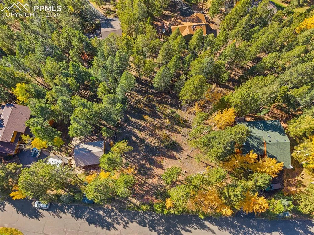 1320 Forest Edge Road Woodland Park, CO 80863