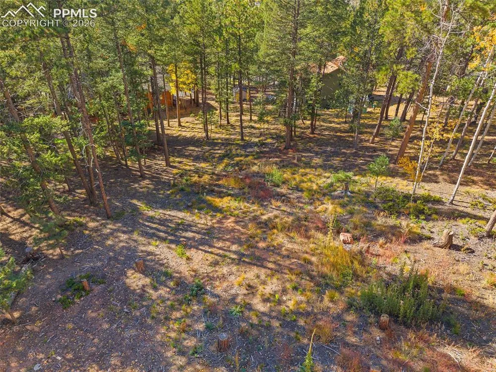 1320 Forest Edge Road Woodland Park, CO 80863