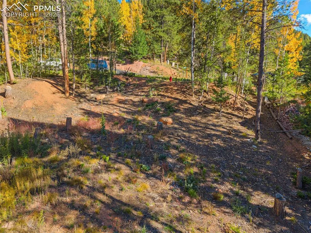 1320 Forest Edge Road Woodland Park, CO 80863
