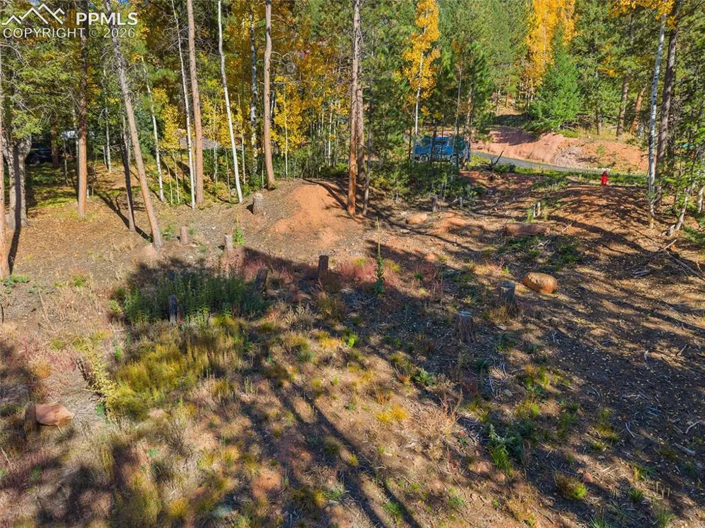 1320 Forest Edge Road Woodland Park, CO 80863