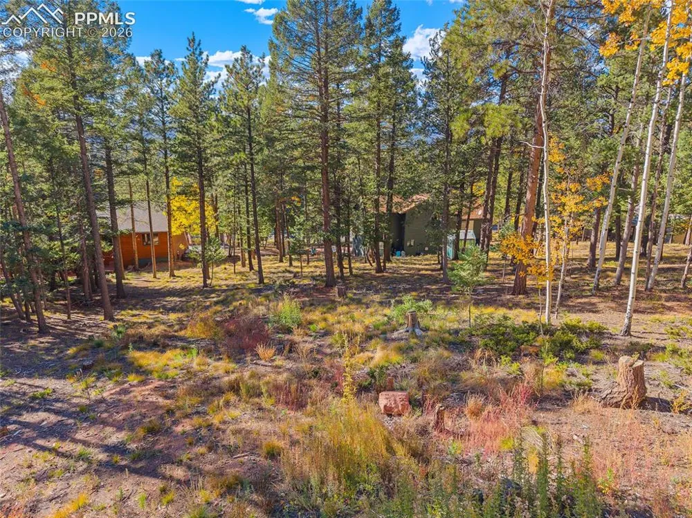 1320 Forest Edge Road Woodland Park, CO 80863