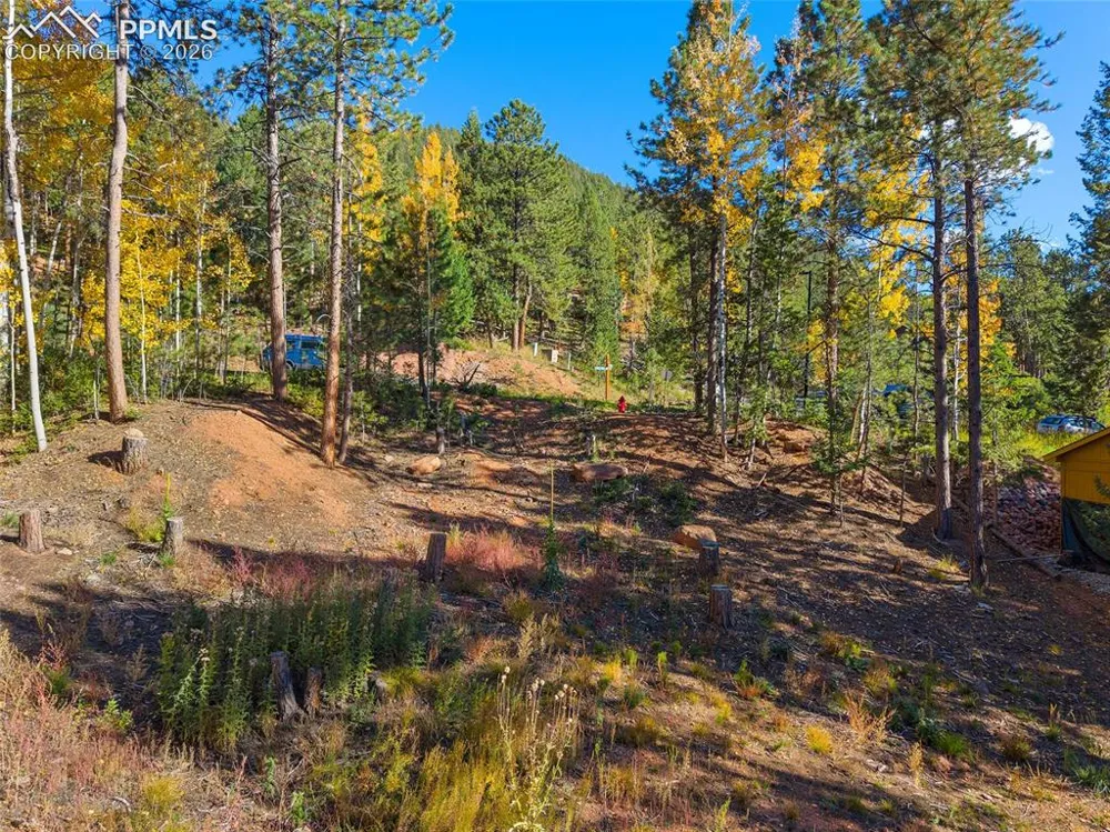 1320 Forest Edge Road Woodland Park, CO 80863