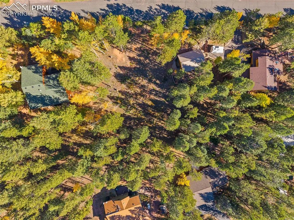 1320 Forest Edge Road Woodland Park, CO 80863