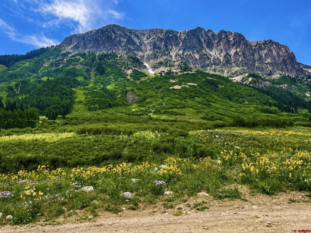 Gothic Crested Butte, CO 81224