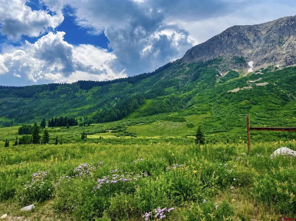 Gothic Crested Butte, CO 81224