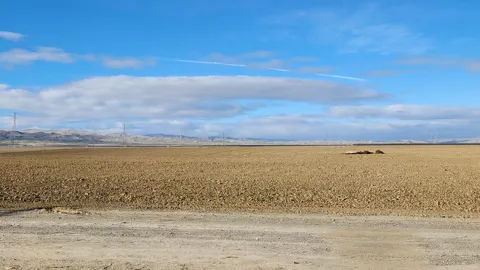100 Ohio