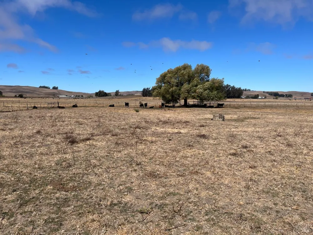 530 Tomales Road Petaluma, CA 94952