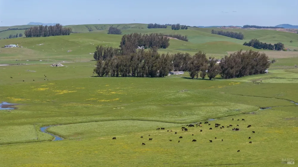 530 Tomales Road Petaluma, CA 94952