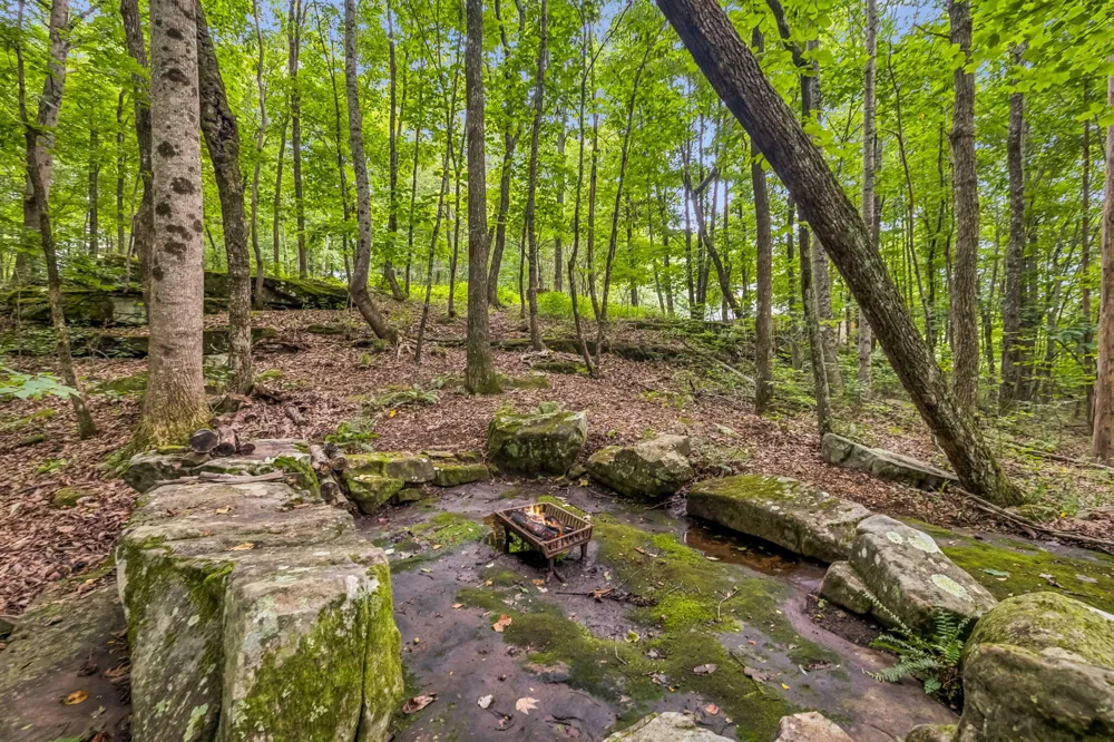 151 Autumn Way Dunlap, TN 37327