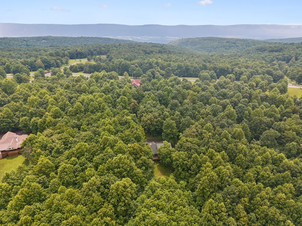 151 Autumn Way Dunlap, TN 37327