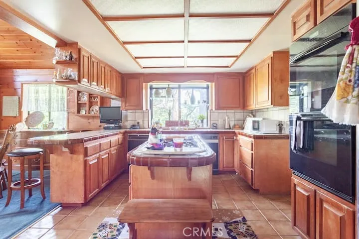723 Bergschrund Crestline, CA 92325