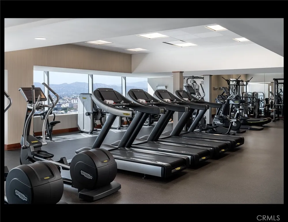 900 W Olympic Boulevard #30A Los Angeles, CA 90015