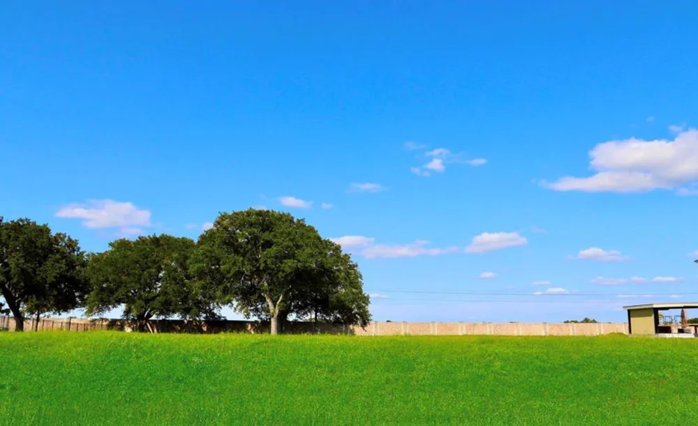 8402 Lofty Pines Richmond, TX 77406