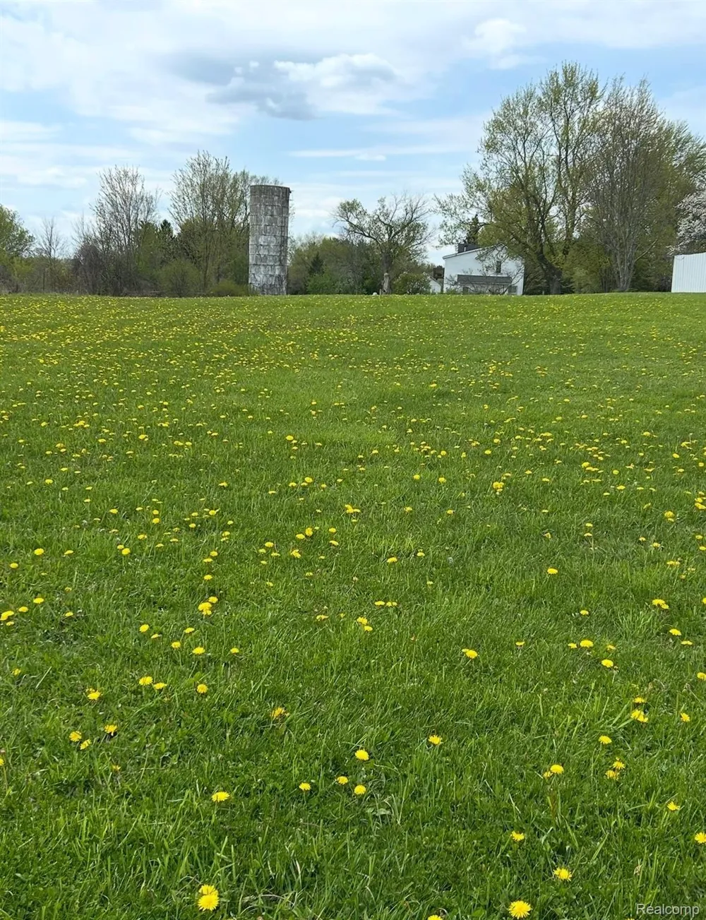 1285 S Cummings Road Davison City, MI 48423
