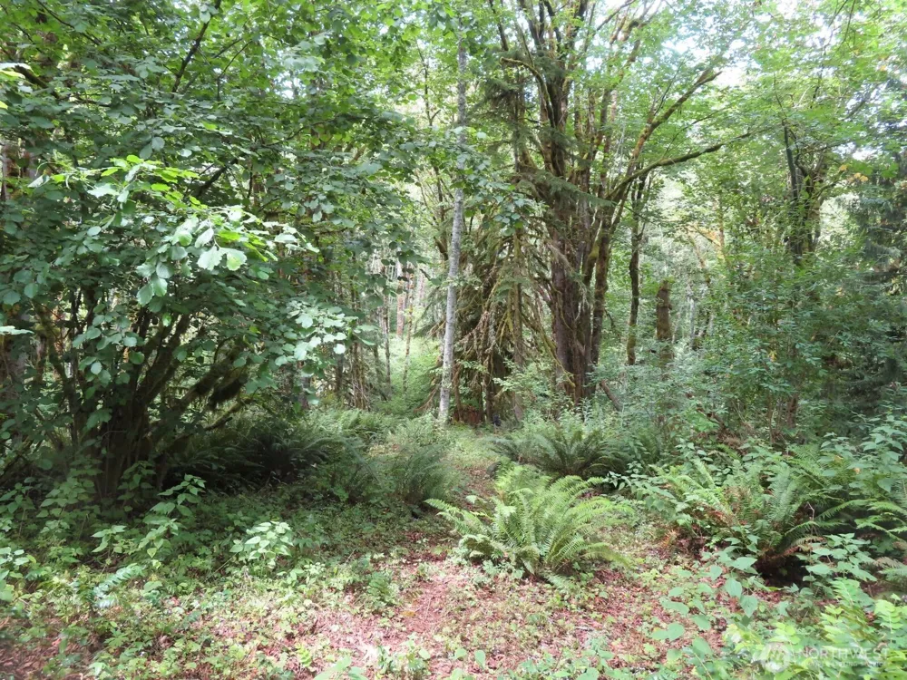 0 Lot 11 Valley View Drive Mossyrock, WA 98564