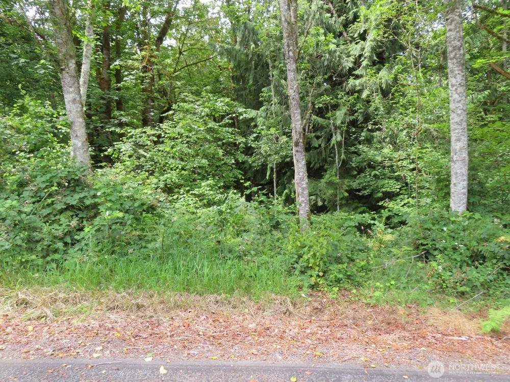 0 Lot 11 Valley View Drive Mossyrock, WA 98564