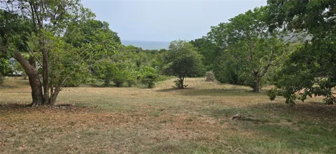 CAMINO NUEVO