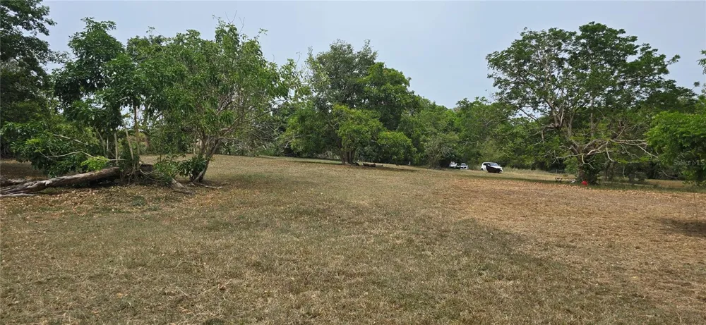 CAMINO NUEVO Yabucoa, PR 00767