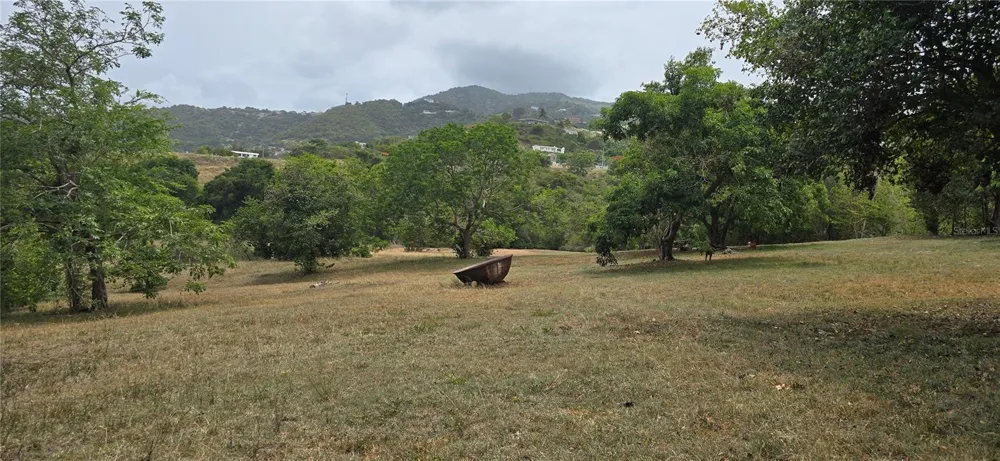 CAMINO NUEVO Yabucoa, PR 00767