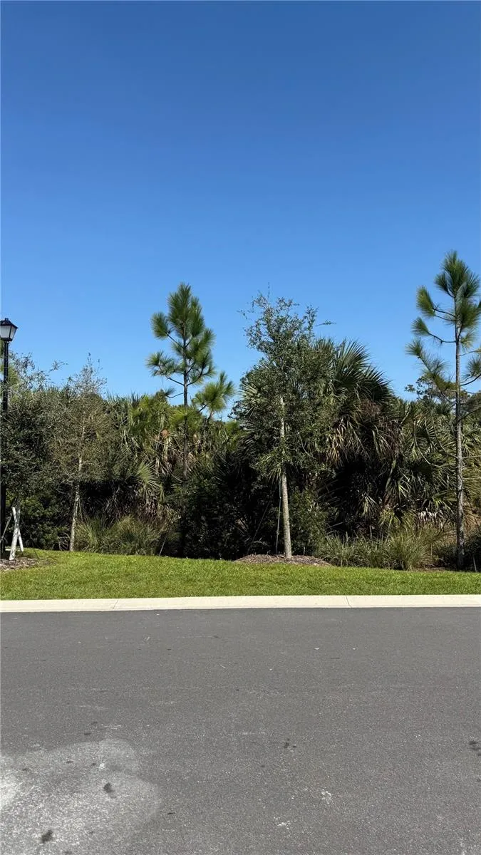 2114 GENTLE RAIN DRIVE Edgewater, FL 32141