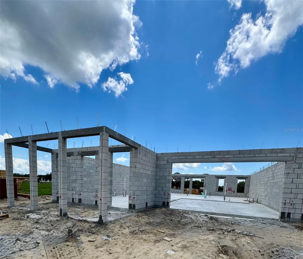 30237 RUSTIC MILL STREET Mount Dora, FL 32757