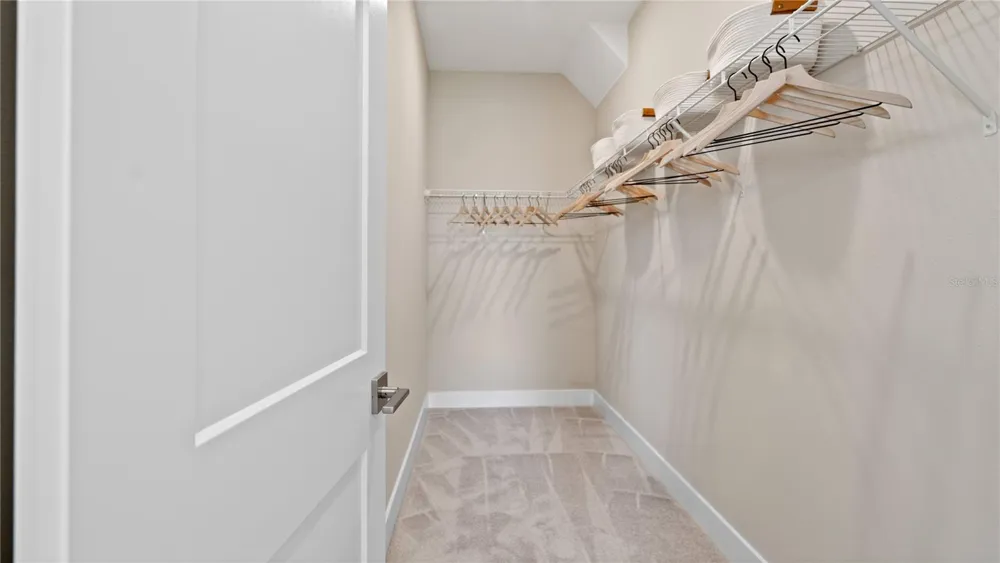 30237 RUSTIC MILL STREET Mount Dora, FL 32757