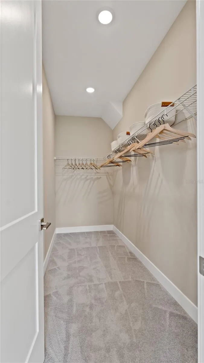 30237 RUSTIC MILL STREET Mount Dora, FL 32757