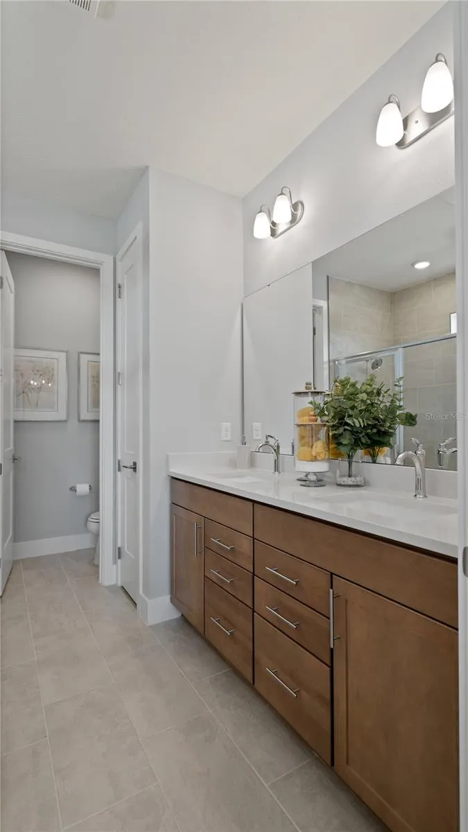 30237 RUSTIC MILL STREET Mount Dora, FL 32757