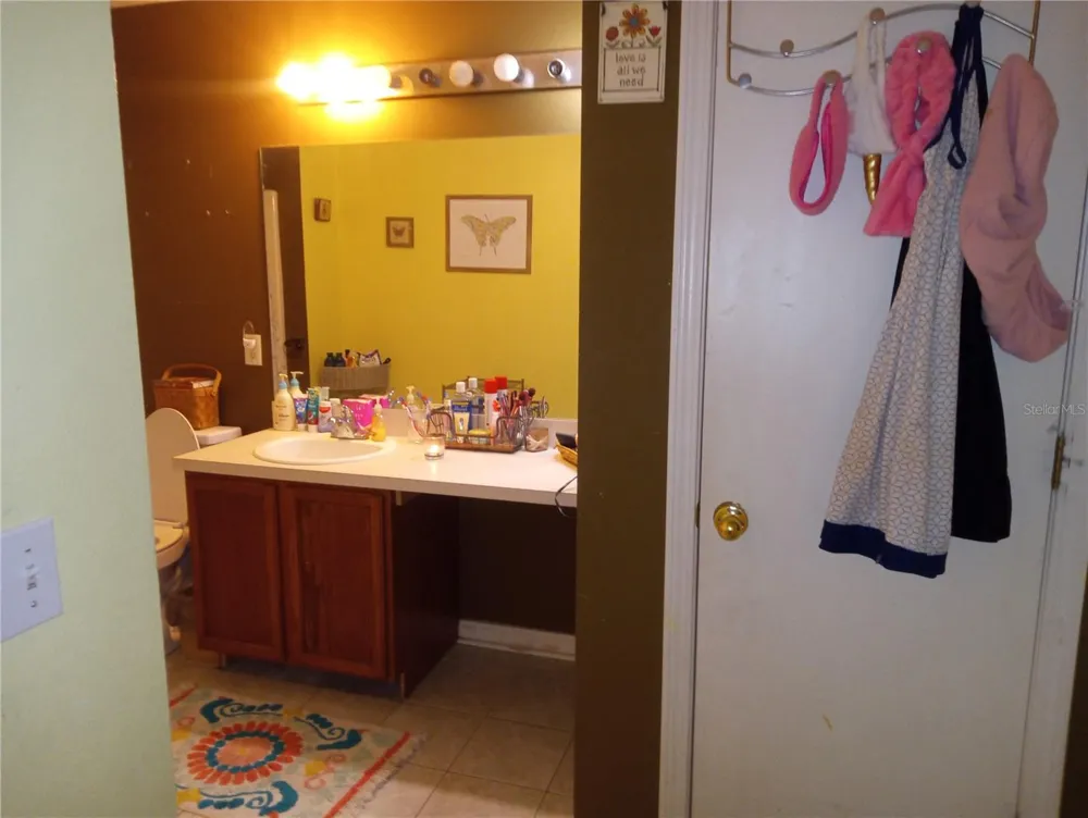 10933 SUBTLE TRAIL DRIVE Riverview, FL 33569