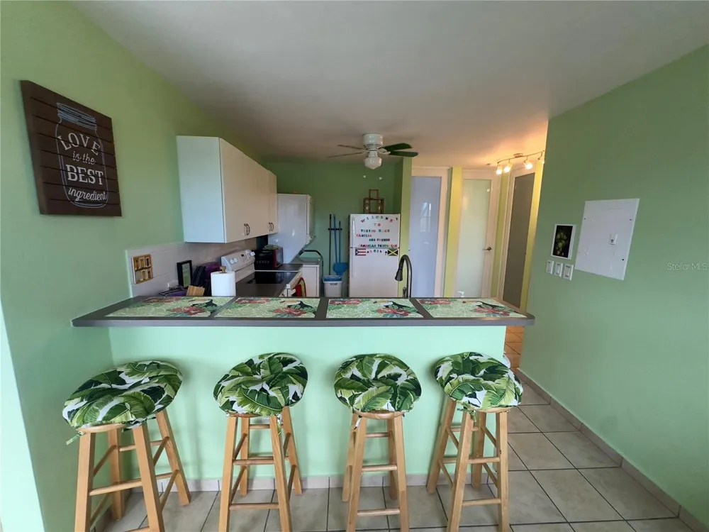 500 CALLE SAN PATRICIO #Apt D 402 Fajardo, PR 00738