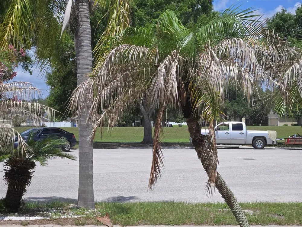4106 BALINGTON DRIVE Valrico, FL 33596