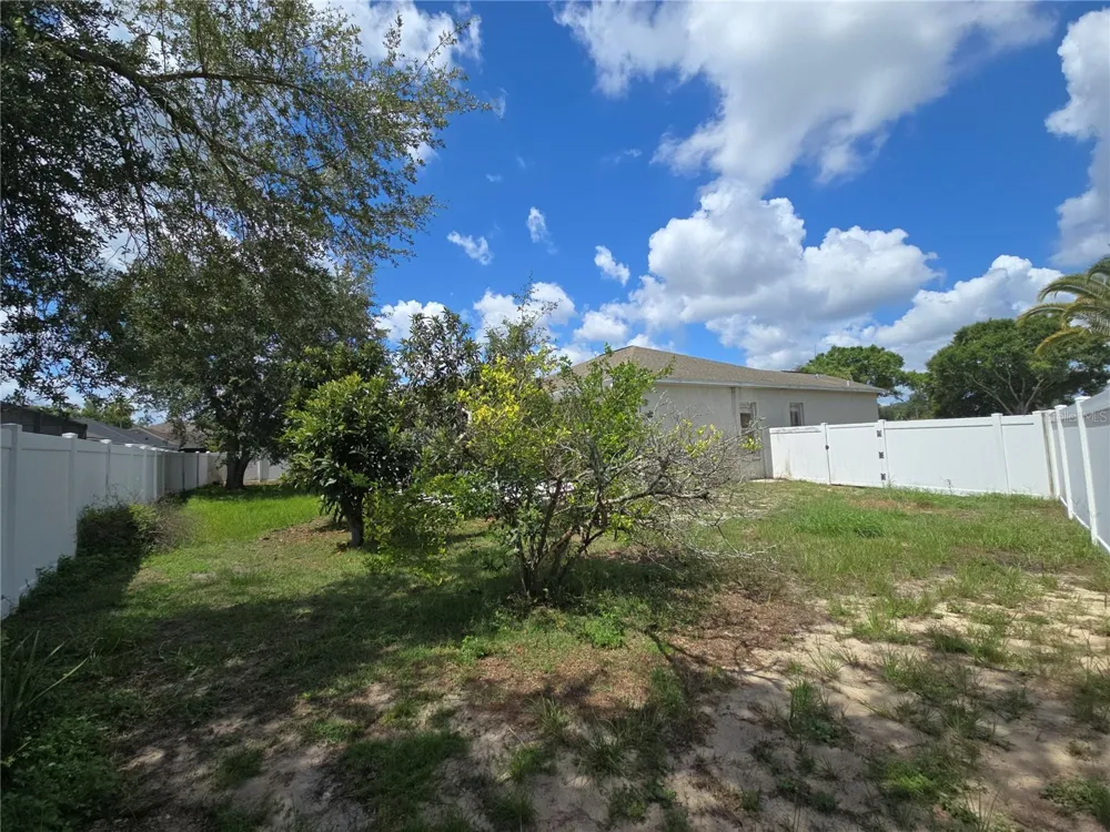 4106 BALINGTON DRIVE Valrico, FL 33596