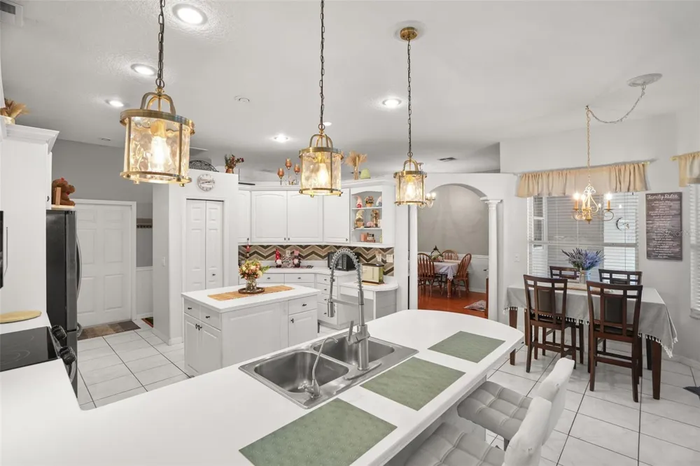 2117 LARKSPUR COURT Trinity, FL 34655