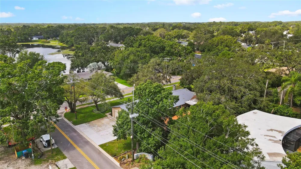 3011 LAKE ELLEN DRIVE Tampa, FL 33618
