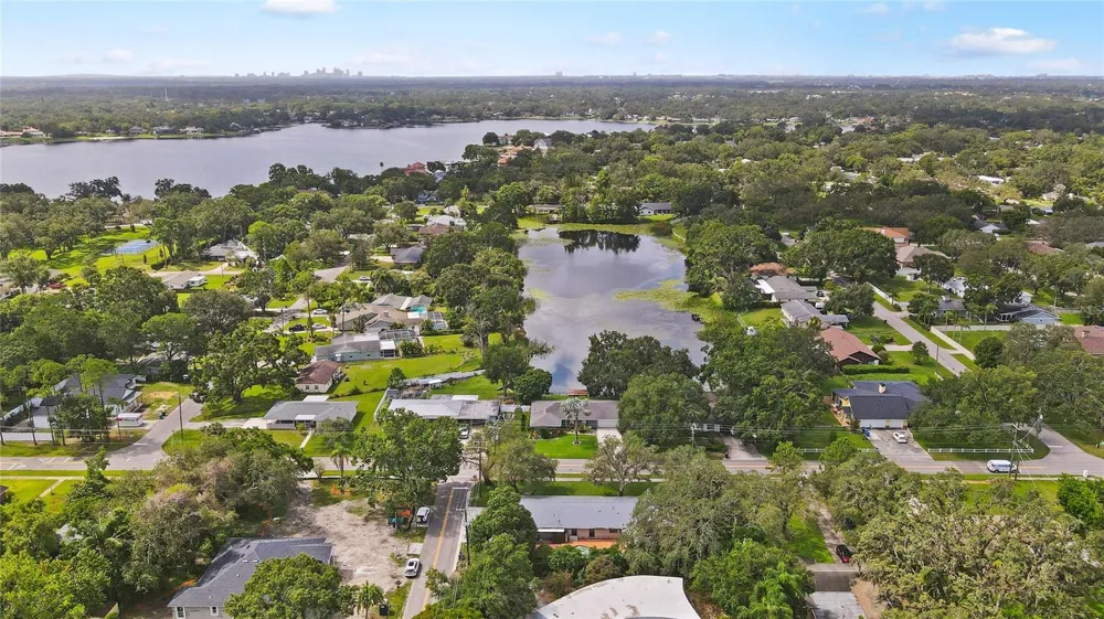 3011 LAKE ELLEN DRIVE Tampa, FL 33618