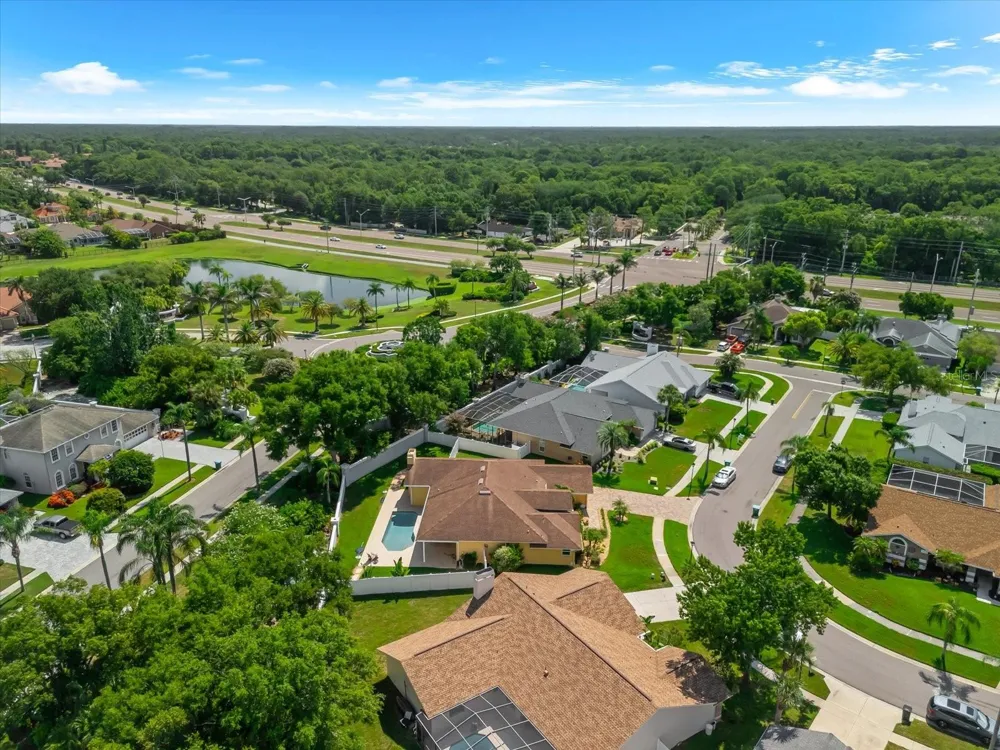 1874 STABLE TRAIL Palm Harbor, FL 34685
