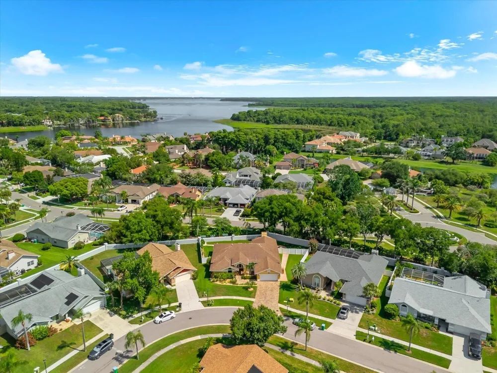 1874 STABLE TRAIL Palm Harbor, FL 34685