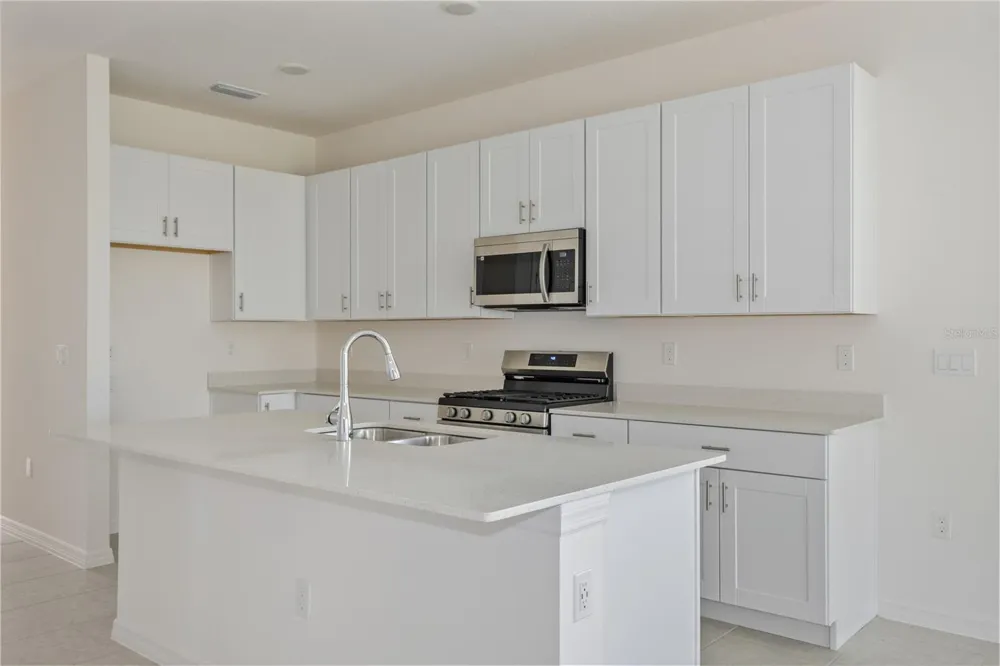 9128 WILDLIGHT TRAIL Wildwood, FL 34785