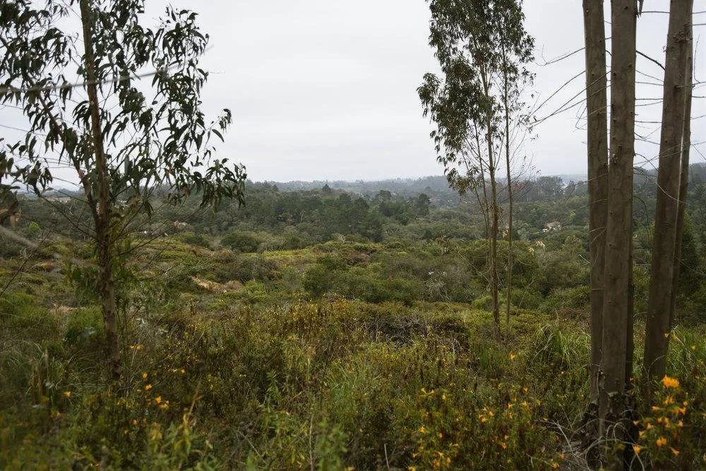 Valle Pacifico Road Salinas, CA 93907