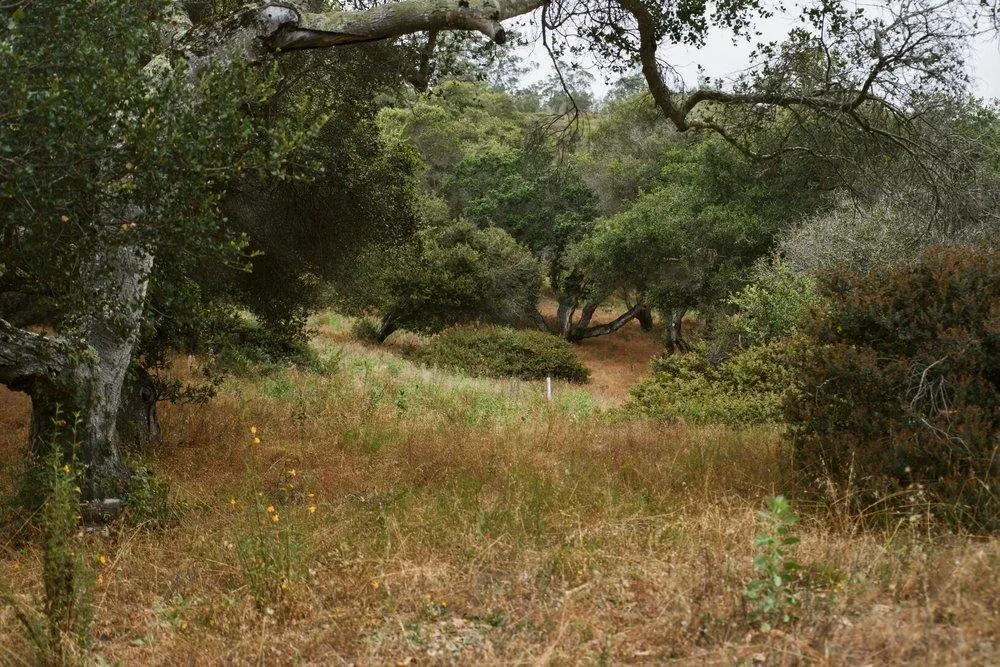 Valle Pacifico Road Salinas, CA 93907