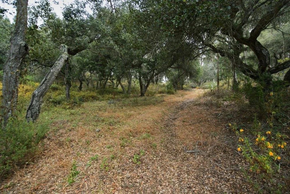 Valle Pacifico Road Salinas, CA 93907
