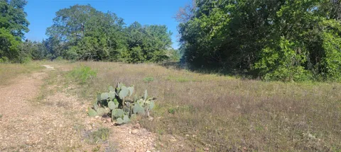 156 Lone Star Circle