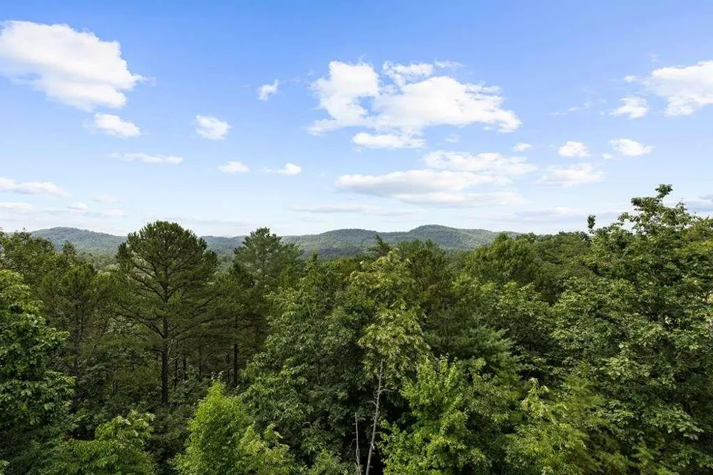 9 Kensington Drive Mineral Bluff, GA 30559