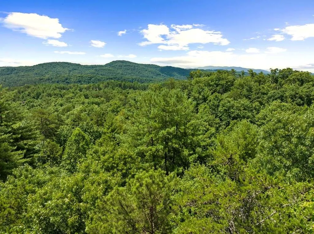9 Kensington Drive Mineral Bluff, GA 30559