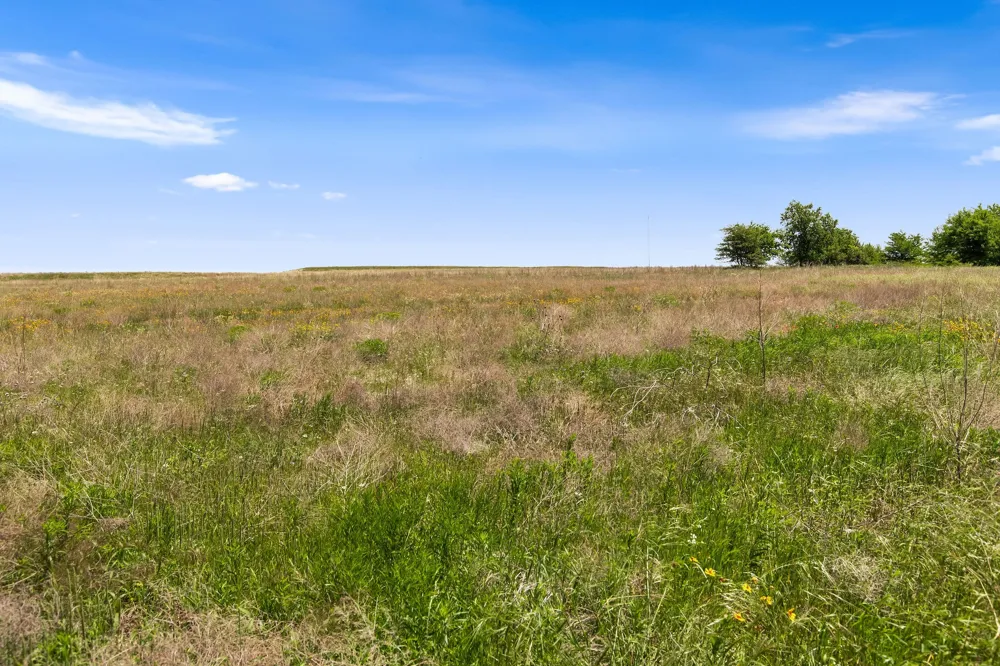 CR-4421 Rhome, TX 76078
