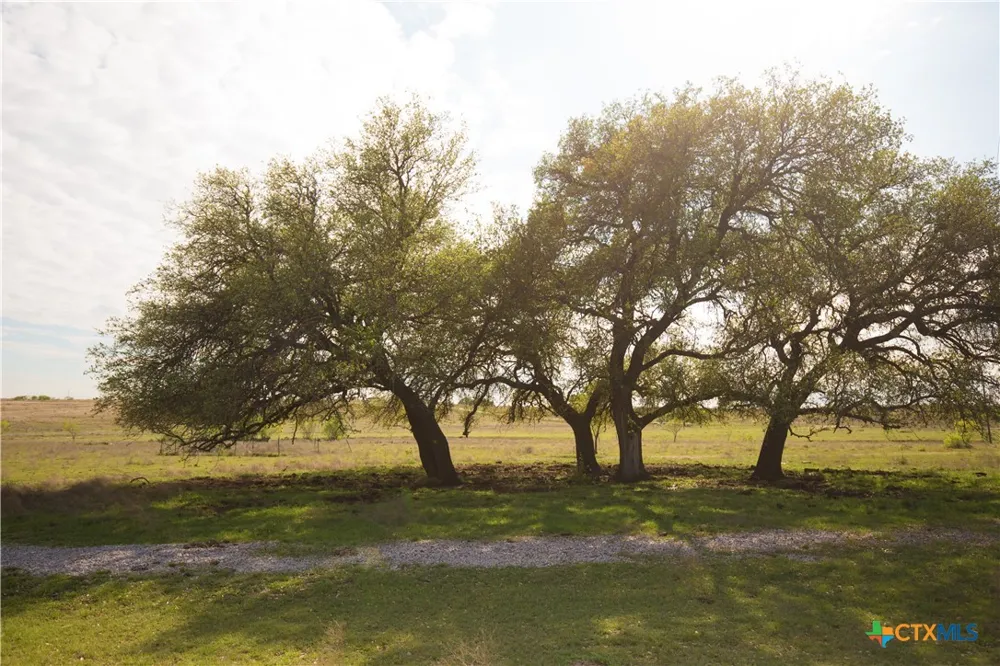 1843 Savanna Ridge Ranch Road Lometa, TX 76853