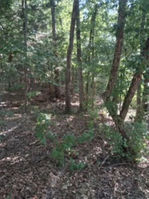 Summit Ridge