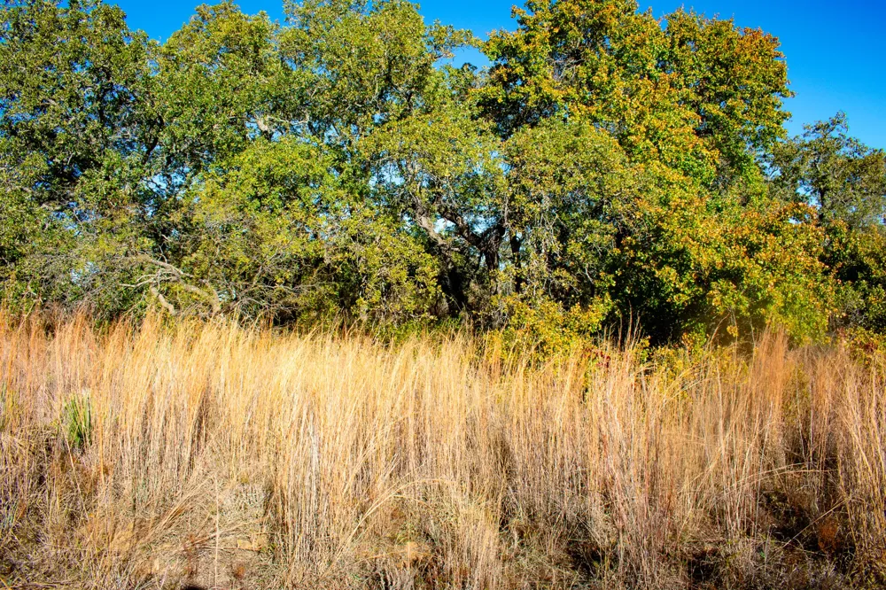 3400 FM 45 San Saba, TX 76877
