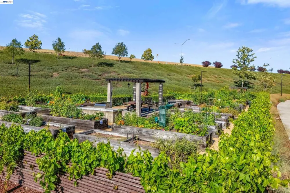 241 Fennel Way Livermore, CA 94551