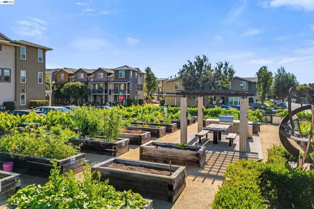 241 Fennel Way Livermore, CA 94551